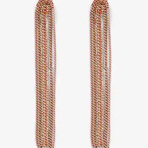 NWT Express Multicolor Chain Link Drop Earrings